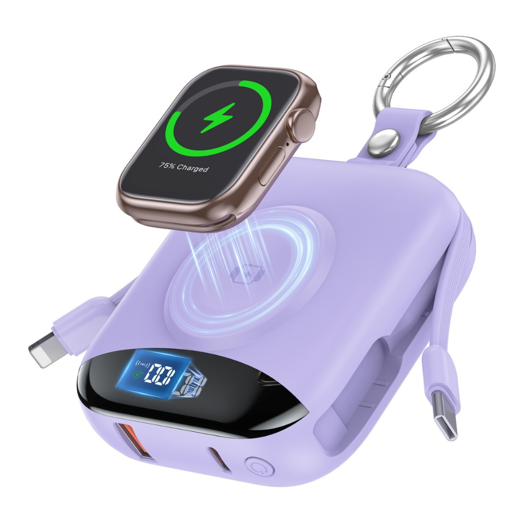 Fast Charging Multifunctional Power Bank
