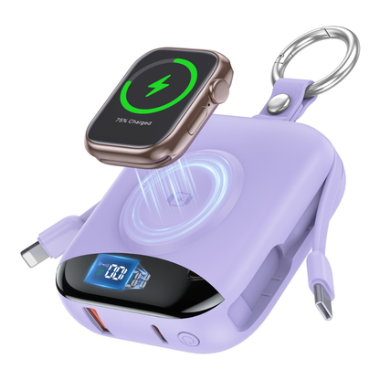 Fast Charging Multifunctional Power Bank