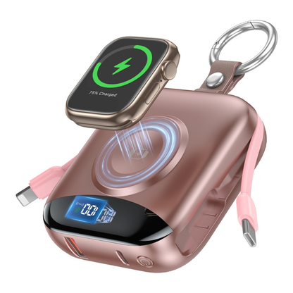 Fast Charging Multifunctional Power Bank