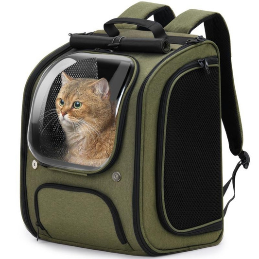 Bubble Cat Backpack Carrier