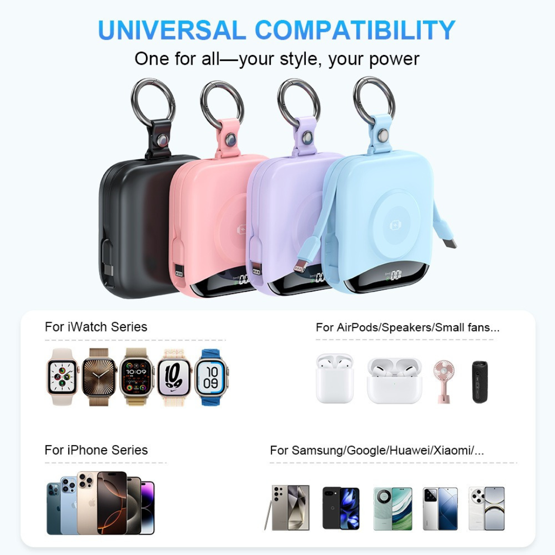 Fast Charging Multifunctional Power Bank