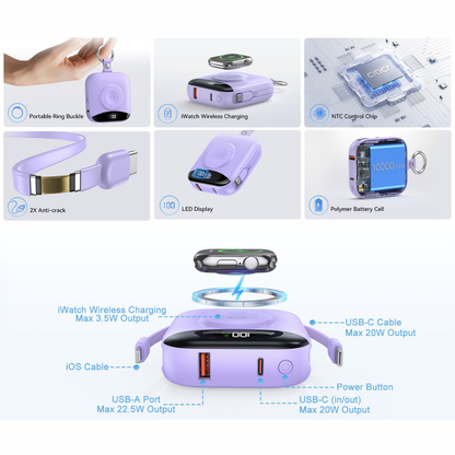 Fast Charging Multifunctional Power Bank